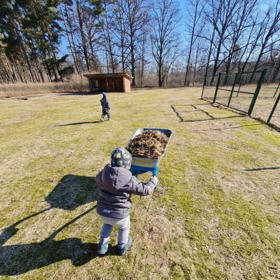 Zēns stumj ķerru pilnu ar sagrābtajām lapām.
