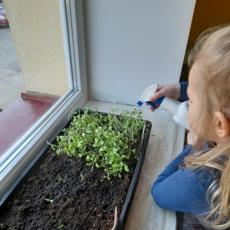 Meitene apsmidzina ar ūdeni iesētās puķes.