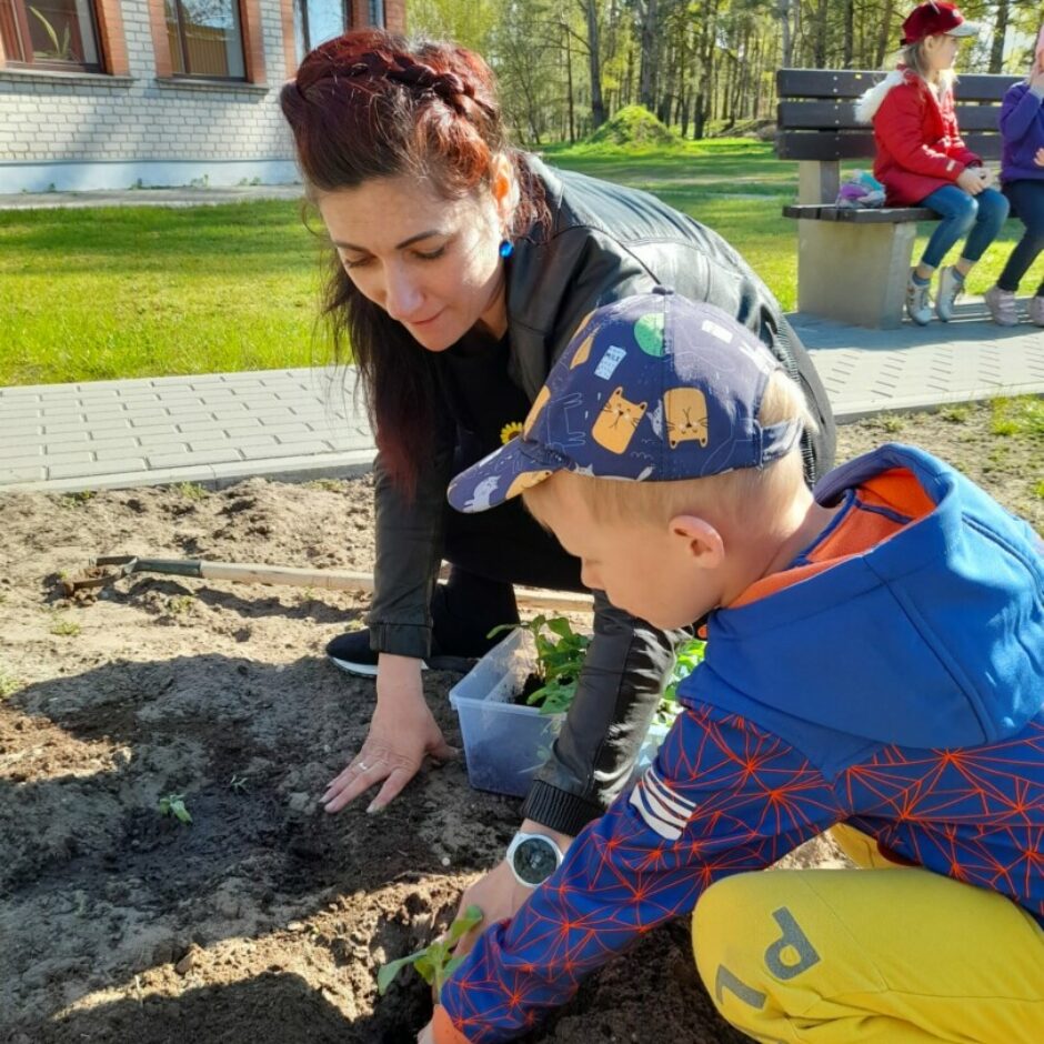 Zēns ar biblotekāres palīdzību stāda saulespuķi.