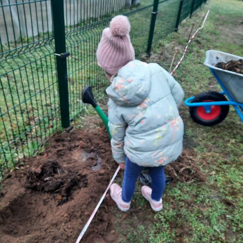 Meitene no lejkannas aplaista iestādītās avenes.