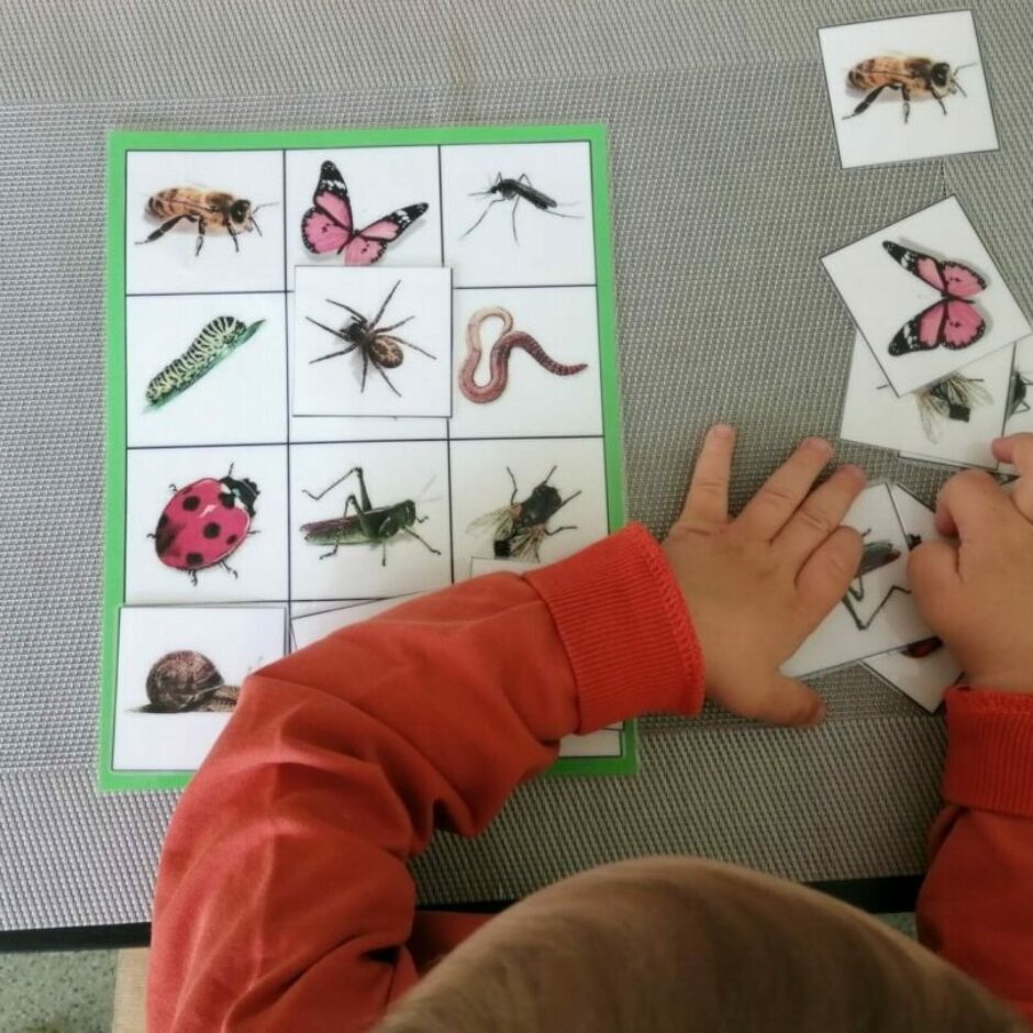 Bērns darbojas ar kukaiņu kartiņām.