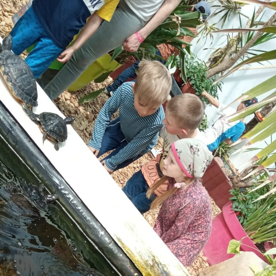 Bērni Taureņu mājā aplūko bruņurupučus.