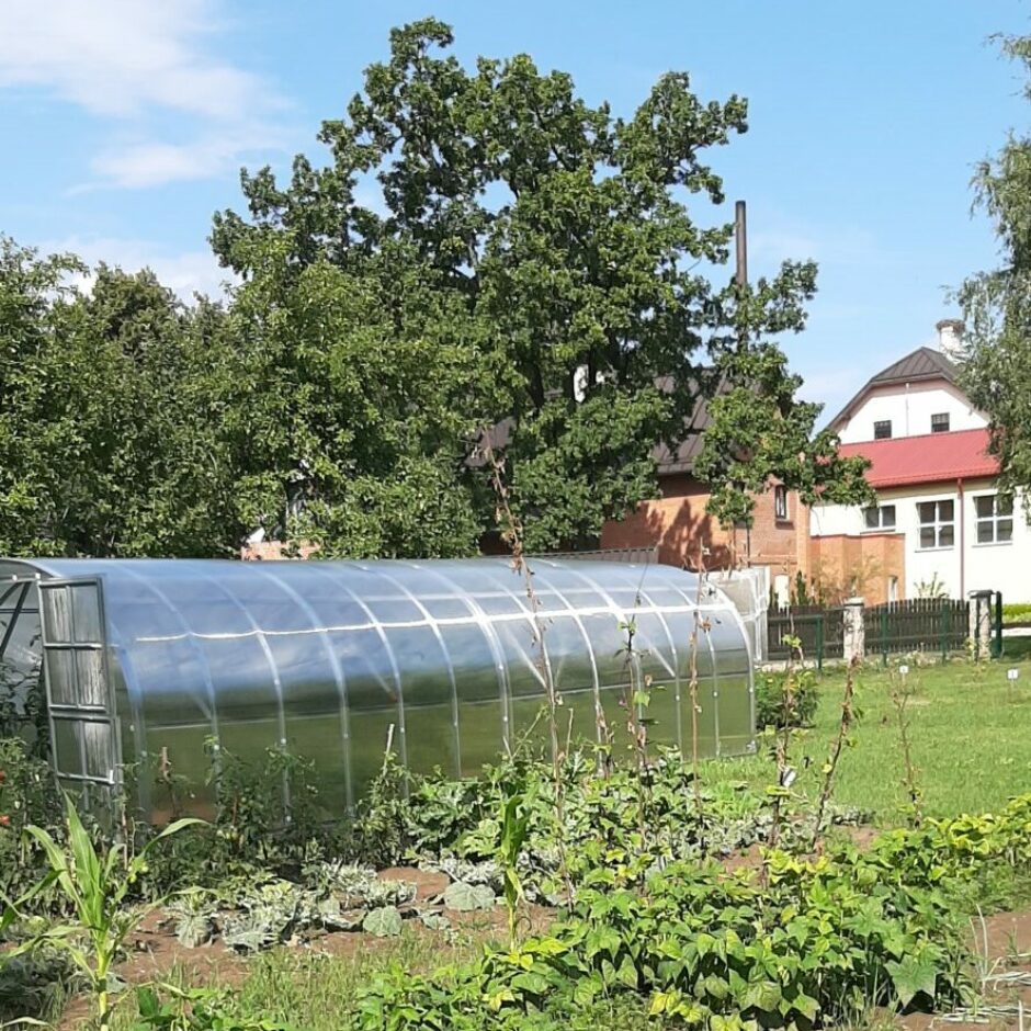 Skolas dārzs, siltumnīca un augi