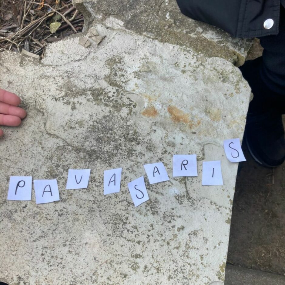 Burti salikti uz akmens - PAVASARIS