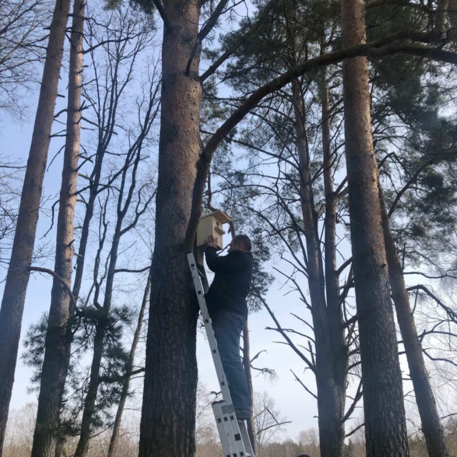 Trepes, cilvēks. būris