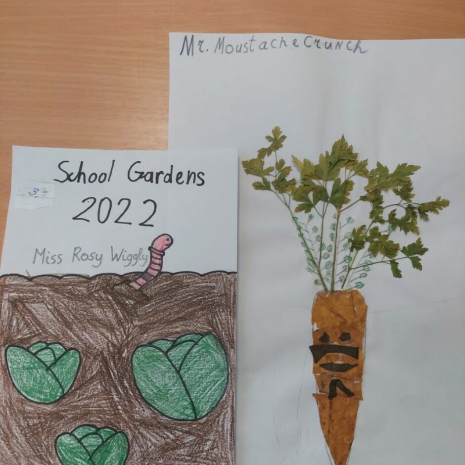 Zīmējums - burkāns un kāposti