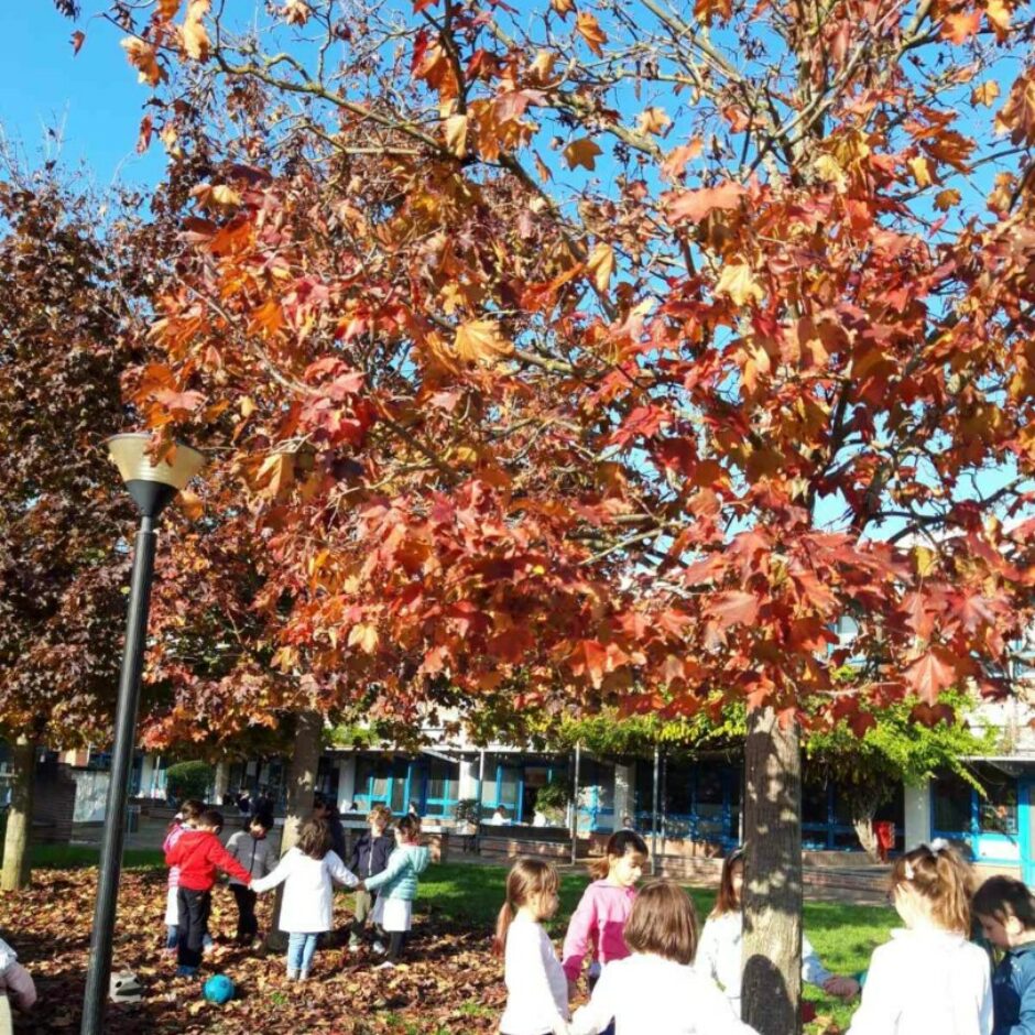 Bērni met lapas gaisā