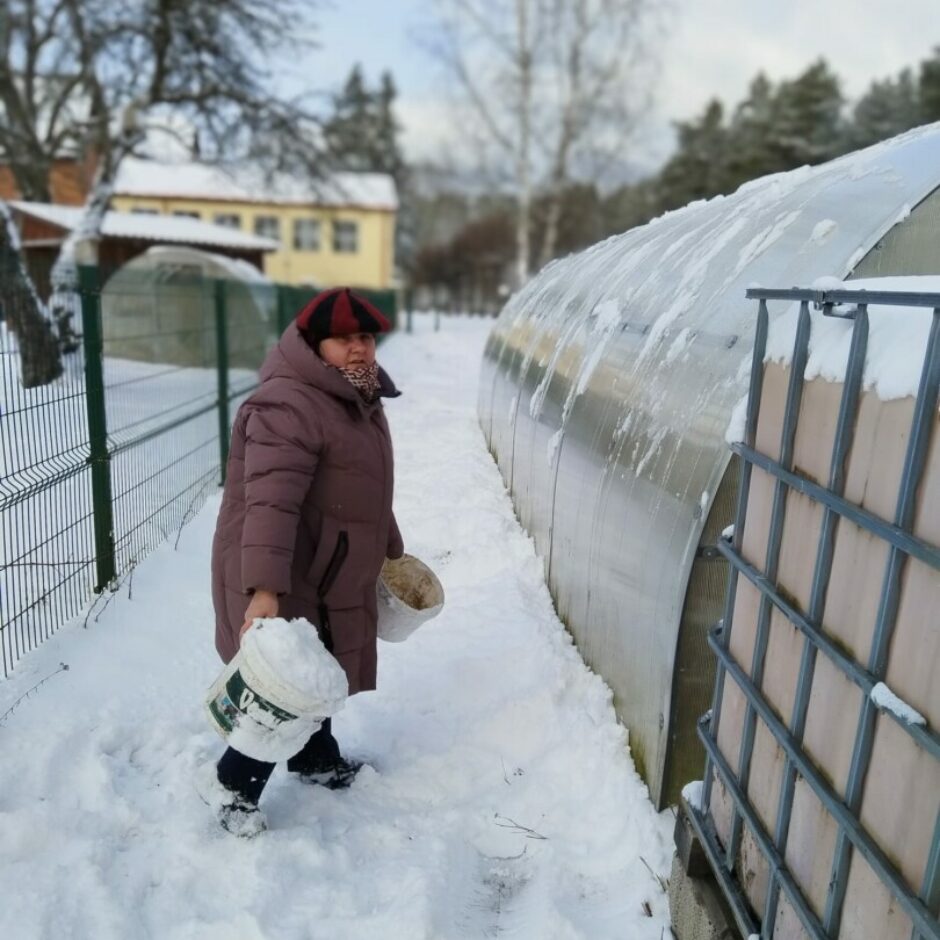 Skolotāja nes sniegu