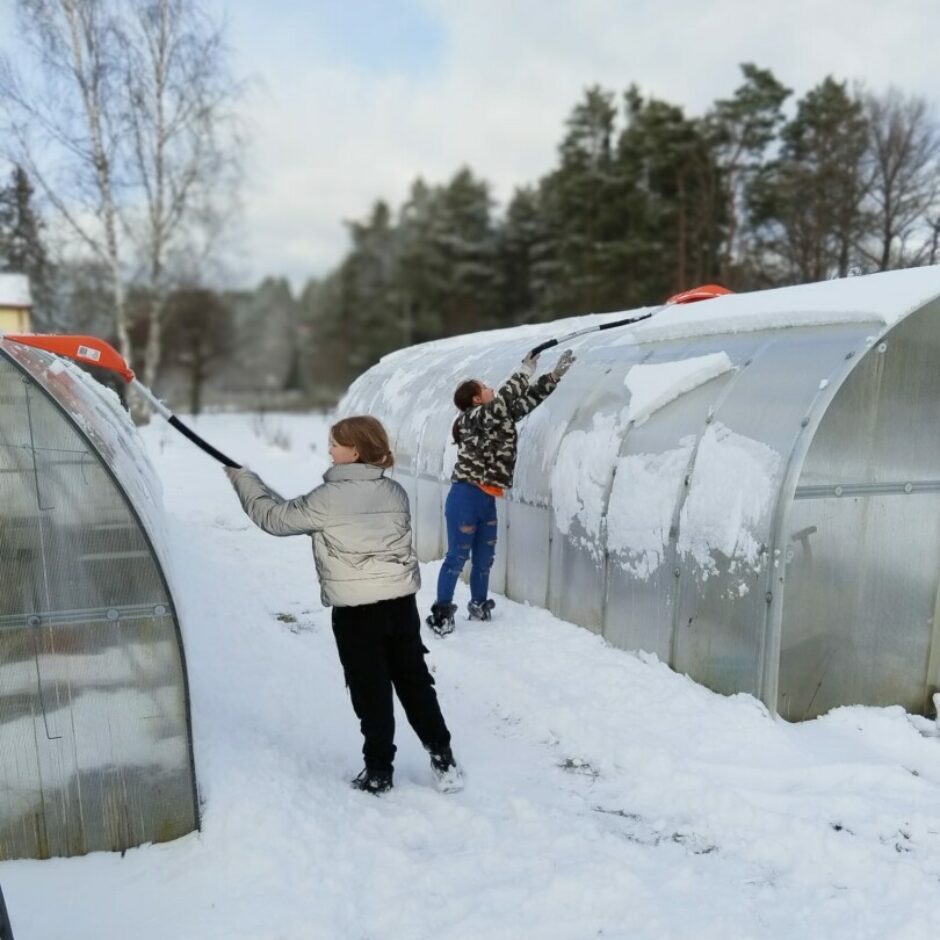 Bērni tīra sniegu no siltumnīcām