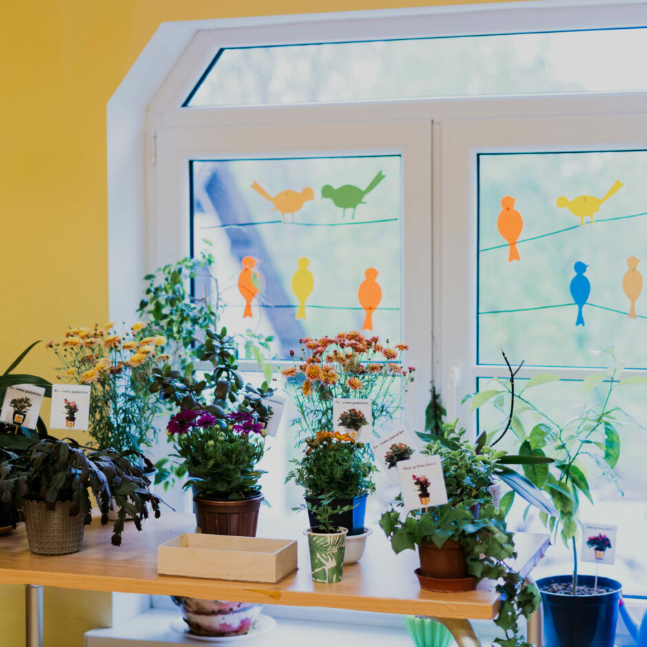 Dabaszinību stūrītis ar istabas augiem un laistīšanas piederumiem.