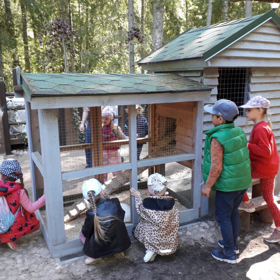 Bērni aplūko trušu būrīti ar trusi.