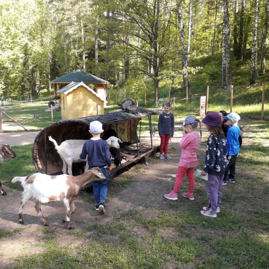 Bērni ciemojas Anneles zoo pie kaziņām.