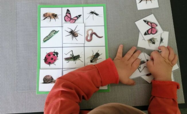 Bērns darbojas ar kukaiņu kartiņām.
