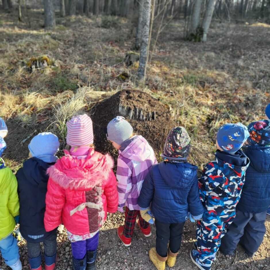 Bērni ārā apskata skudru pūzni.