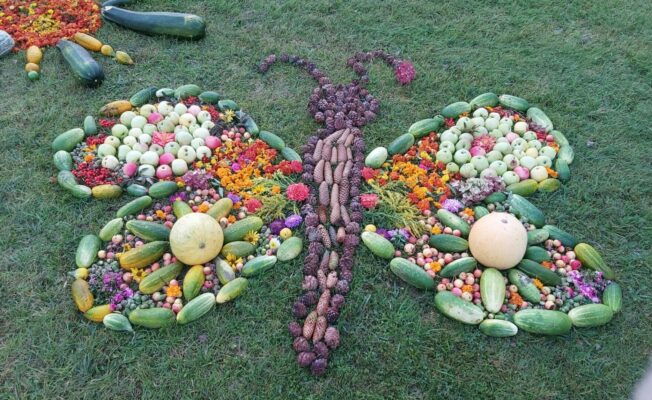 taurenis no dārzeņiem