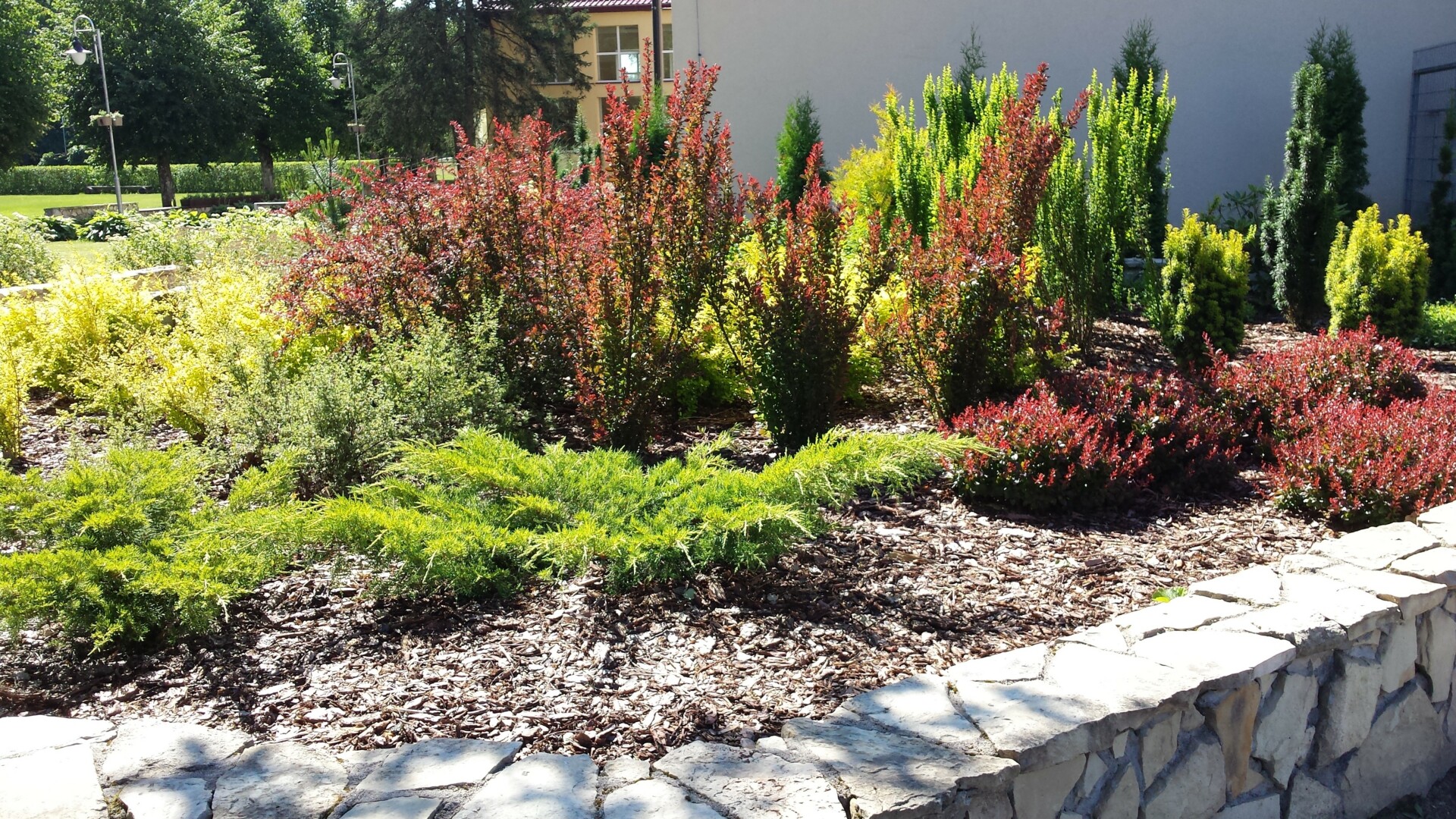 Zaļie augi puķu dobē