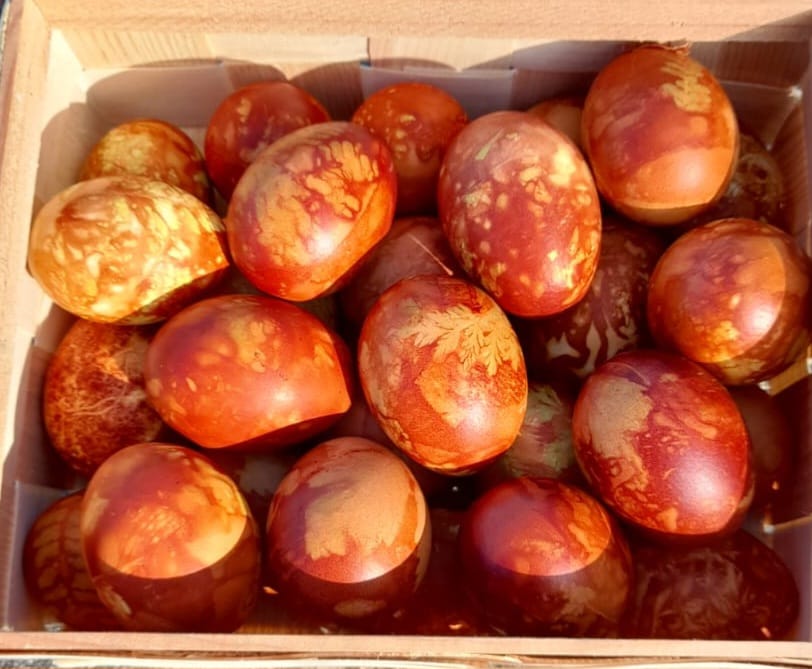 Brūnas nokrāsotas olas koka groziņā