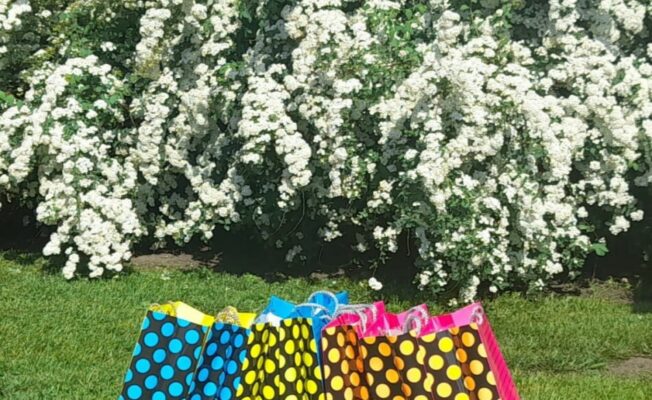 Dāvanu maisiņi zālē pie spireju krūma