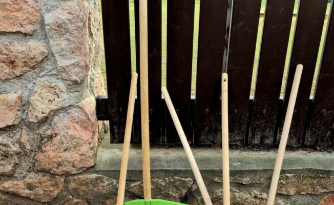 Zaļi grābekļi pie žoga