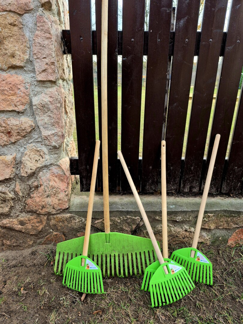 Zaļi grābekļi pie žoga