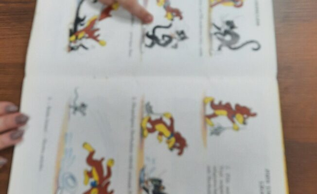 Atvērta grāmata par sunīti Pifu