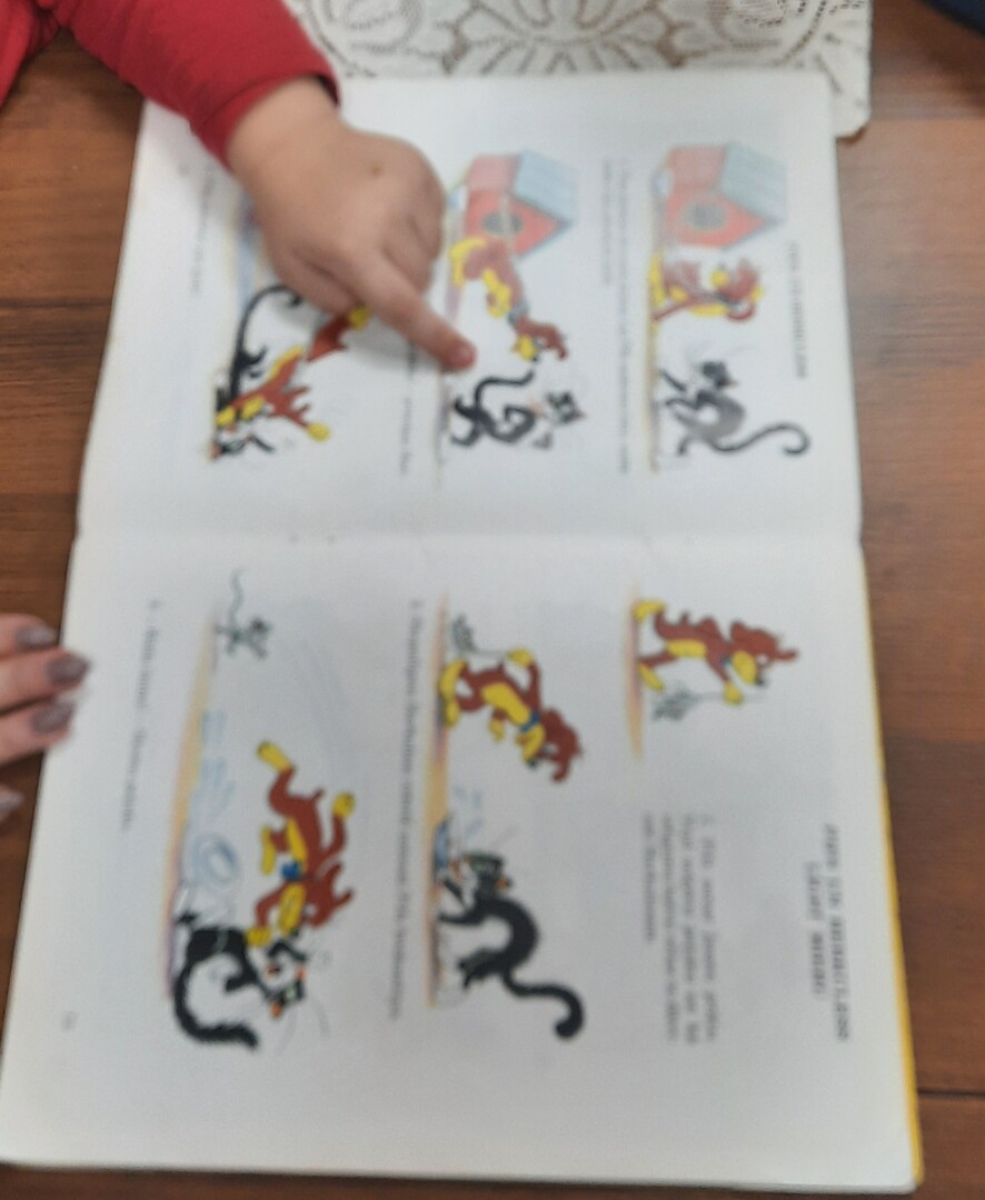 Atvērta grāmata par sunīti Pifu