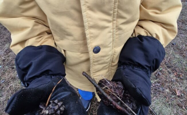 Bērns tur rokā čiekurus un zariņus