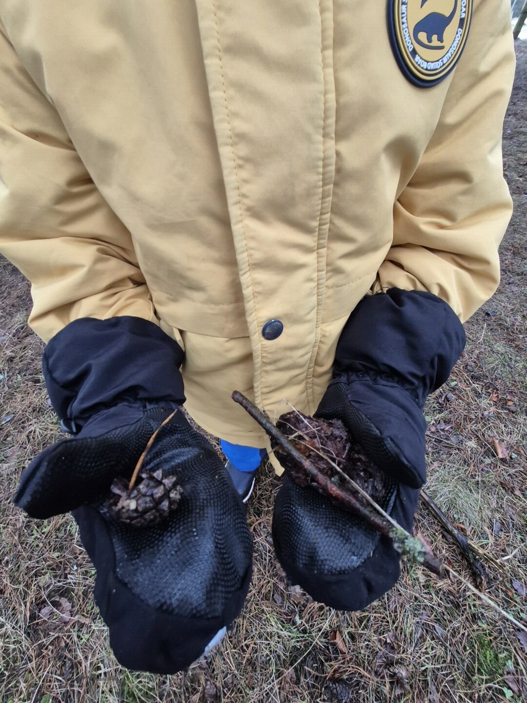 Bērns tur rokā čiekurus un zariņus