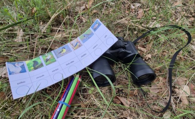 Binoklis, krāsu zīmuļi, darba lapa zālē.