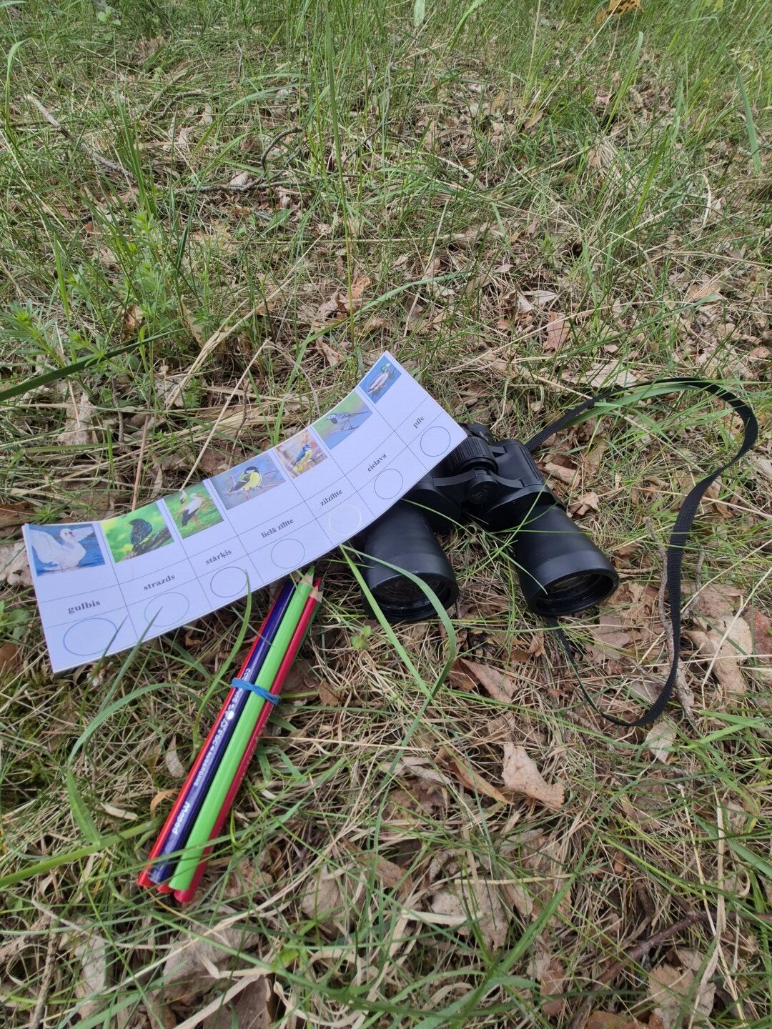 Binoklis, krāsu zīmuļi, darba lapa zālē.