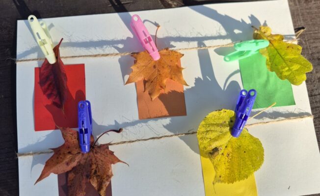 Krāsainas koku lapas piespraustas ar knaģi pie papīra.