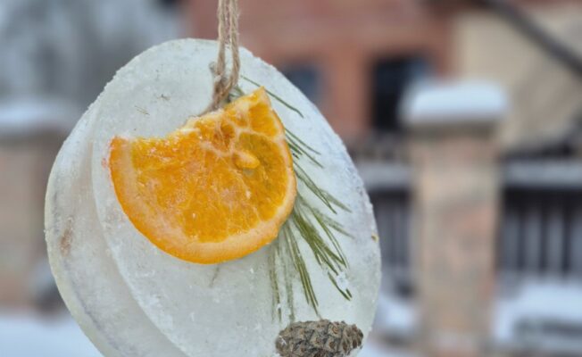 Ledus gabalā iesaldēta apelsīna šķēle un čiekuriņš.