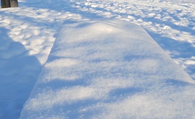 Piesnidzis lauks un tālumā mežs.