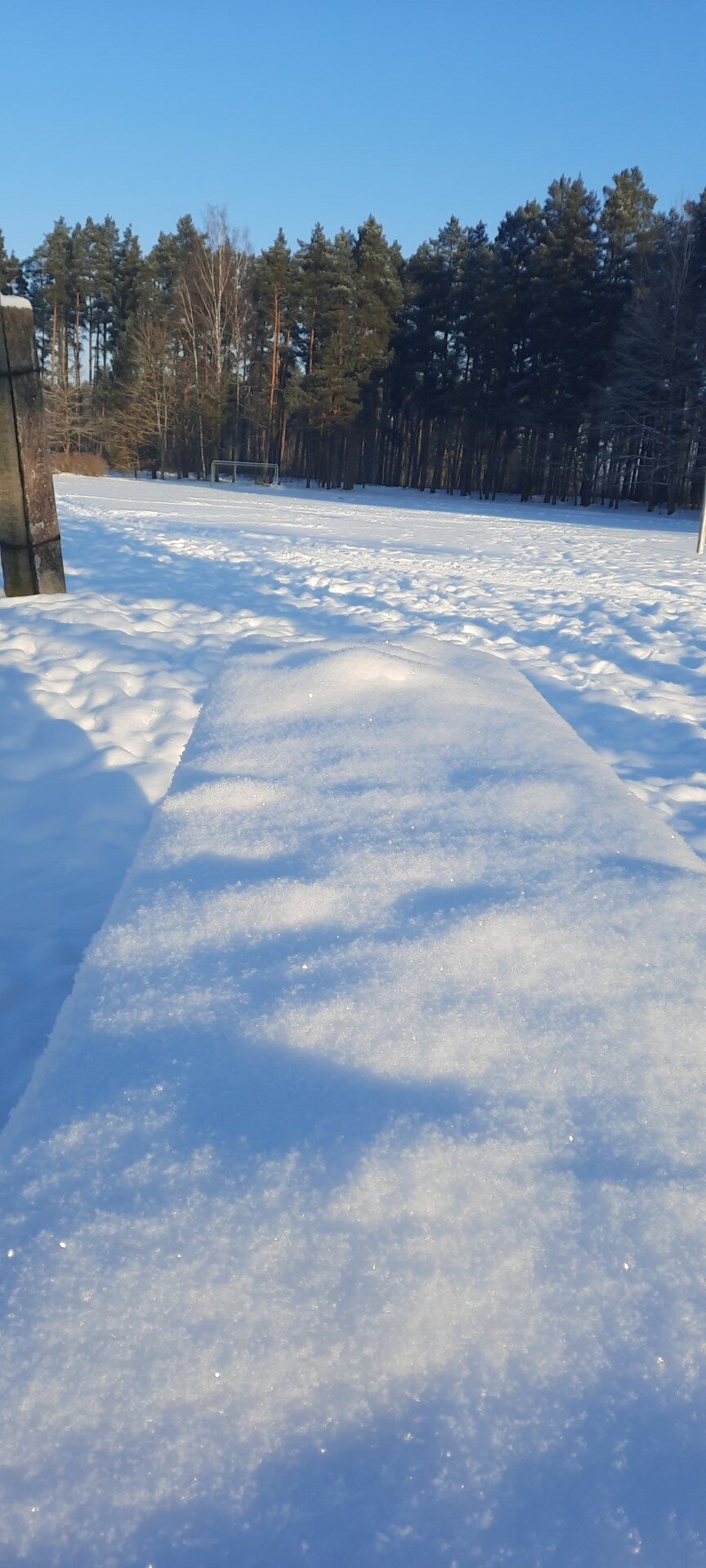 Piesnidzis lauks un tālumā mežs.