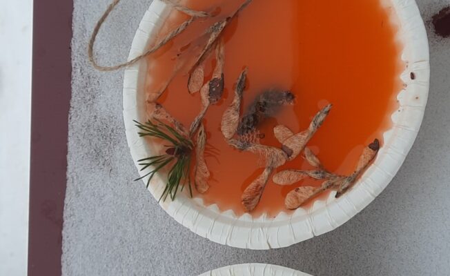 Krāsains ūdens sasaldēts šķivjos.