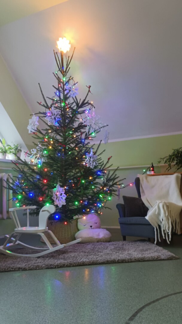 Izrotāta svētku egle telpās