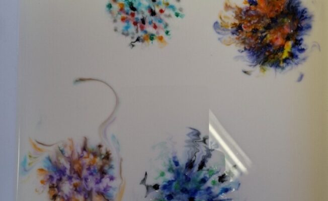 Krāsaini krāsu ziedi uz balta fona (pienā).