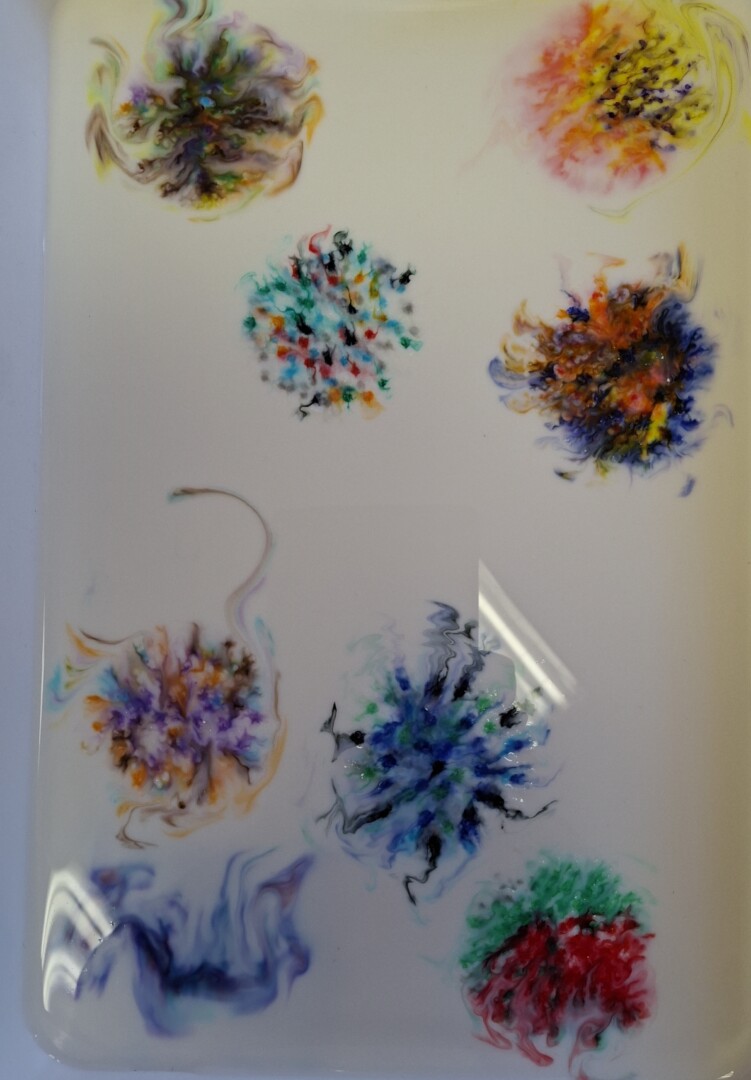 Krāsaini krāsu ziedi uz balta fona (pienā).