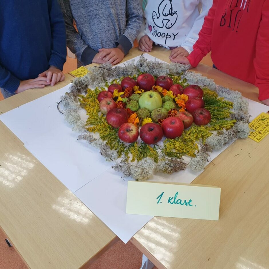 Bērnu izveidotā mandala no dabas materiāliem