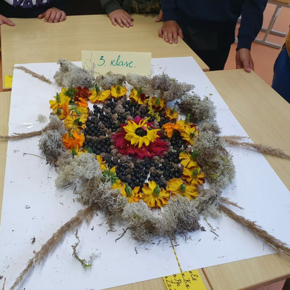 Bērnu izveidotā mandala no dabas materiāliem