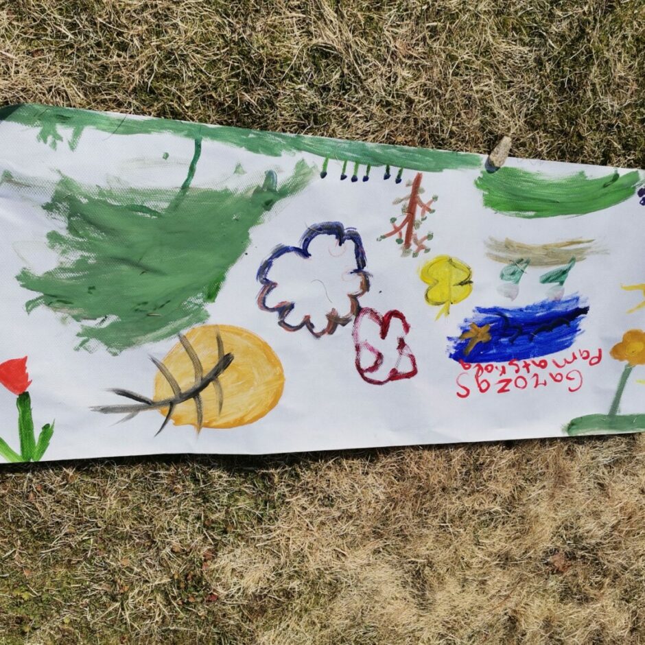 koki, saule, mākoņi