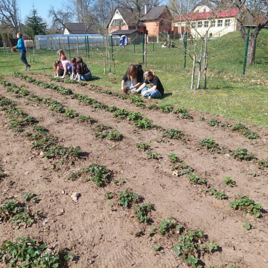 Zemeņu dobē sēž bērni